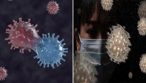 سلالة كورونا الجديدة: كيف تحدث الطفرات في الفيروسات ولماذا؟