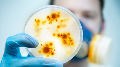 مكتشف مرض إيبولا يحذر العالم: أوبئة المستقبل ستكون كارثية أشد فتكا!