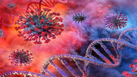 بشرة خير أخيرا.. ثغرة قد تعطّل فيروس كورونا!