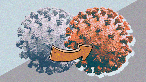 وصول سلالة كورونا القاومة للقاحات.. كورونا القادم من جنوب إفريقيا مقلق!