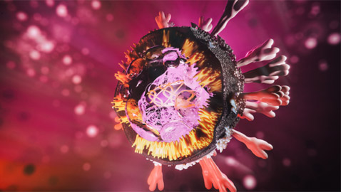 درجة الحرارة والرطوبة والرياح أكثر تأثيرا على 