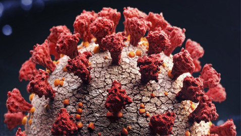 سلالة فيروس كورونا الجديدة المكتشفة ببريطانيا بطريقها لاكتساح العالم!