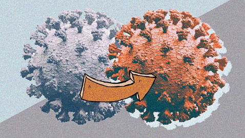 7 سلالات جديدة لكورونا تحمل طفرات النسخة البريطانية تثير المخاوف!