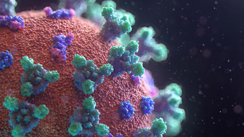 العلماء يفسرون الأعراض 