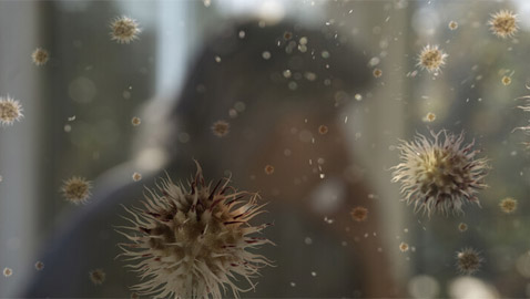 هل تزداد مخاطر كوفيد 19 مع حبوب اللقاح المحمولة جوا في الربيع؟